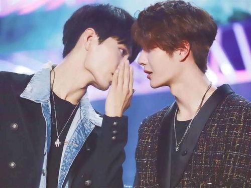 娱乐圈吃瓜cp博君一肖,娱乐圈的甜蜜瓜田,CP互动引粉丝狂欢